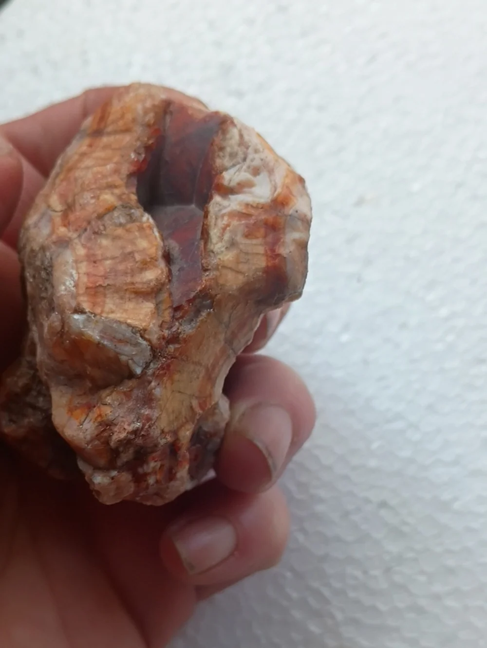 Natural Orange-Brown Reptile Hideaway Rock - Unbranded